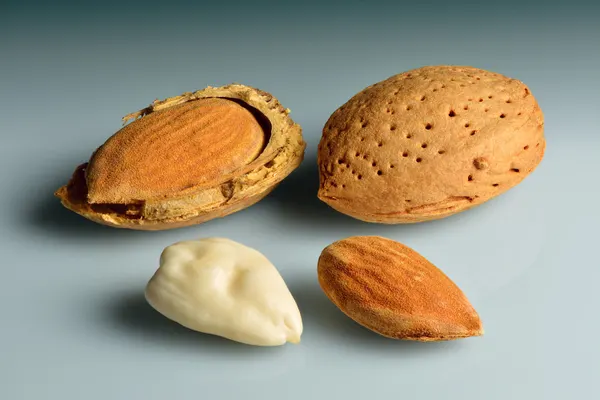 Prunus dulcis